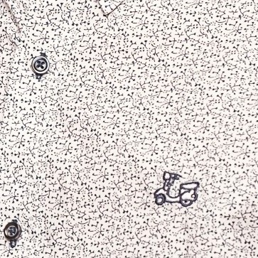 Camisa estampada de algodón 5 Camisa estampada de algodón - Imagen 5