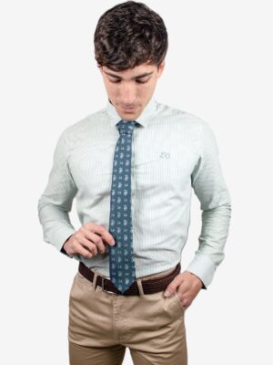 Camisa Oxford rayas verdes